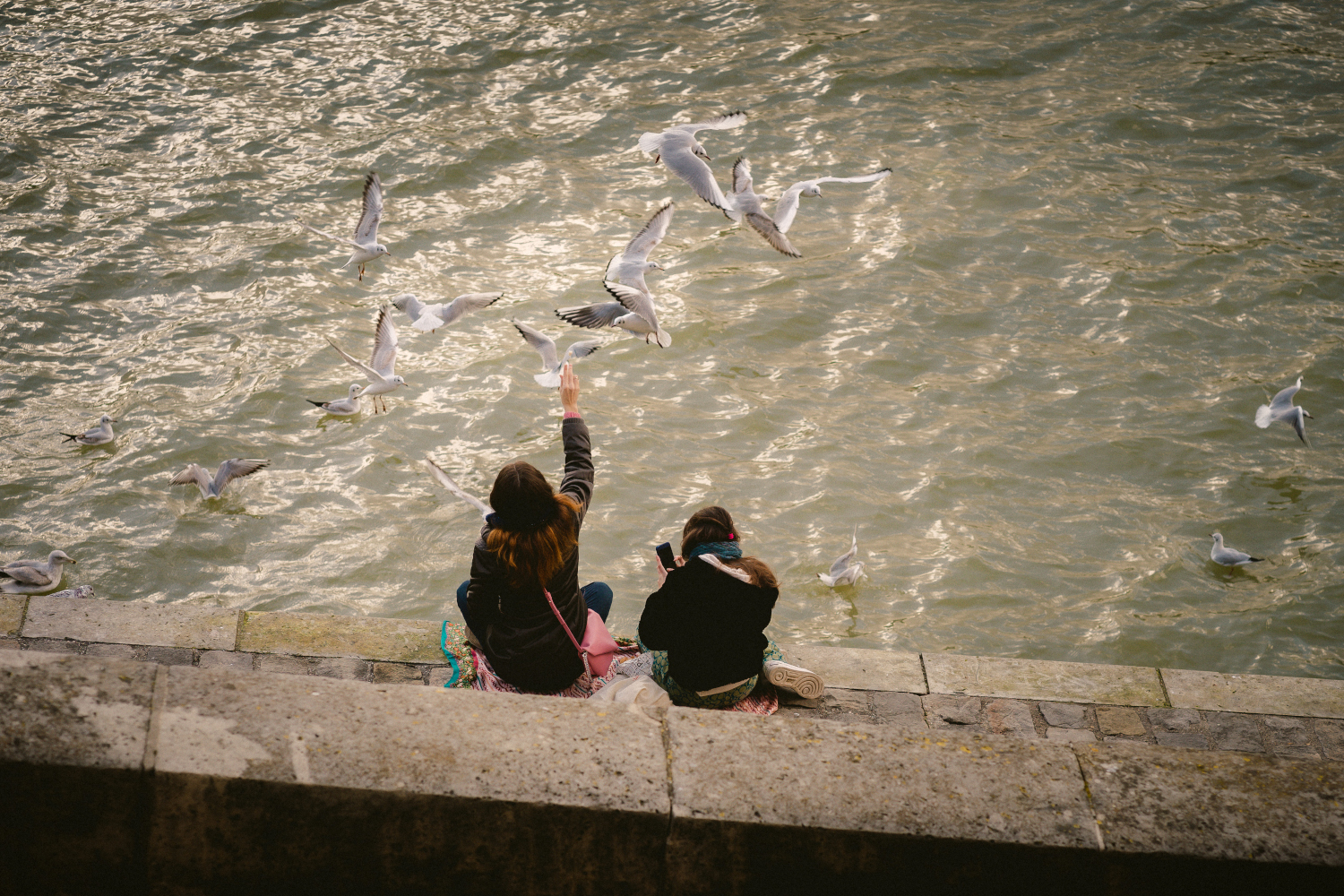 Girls feeding seagulls at la Seine, Paris